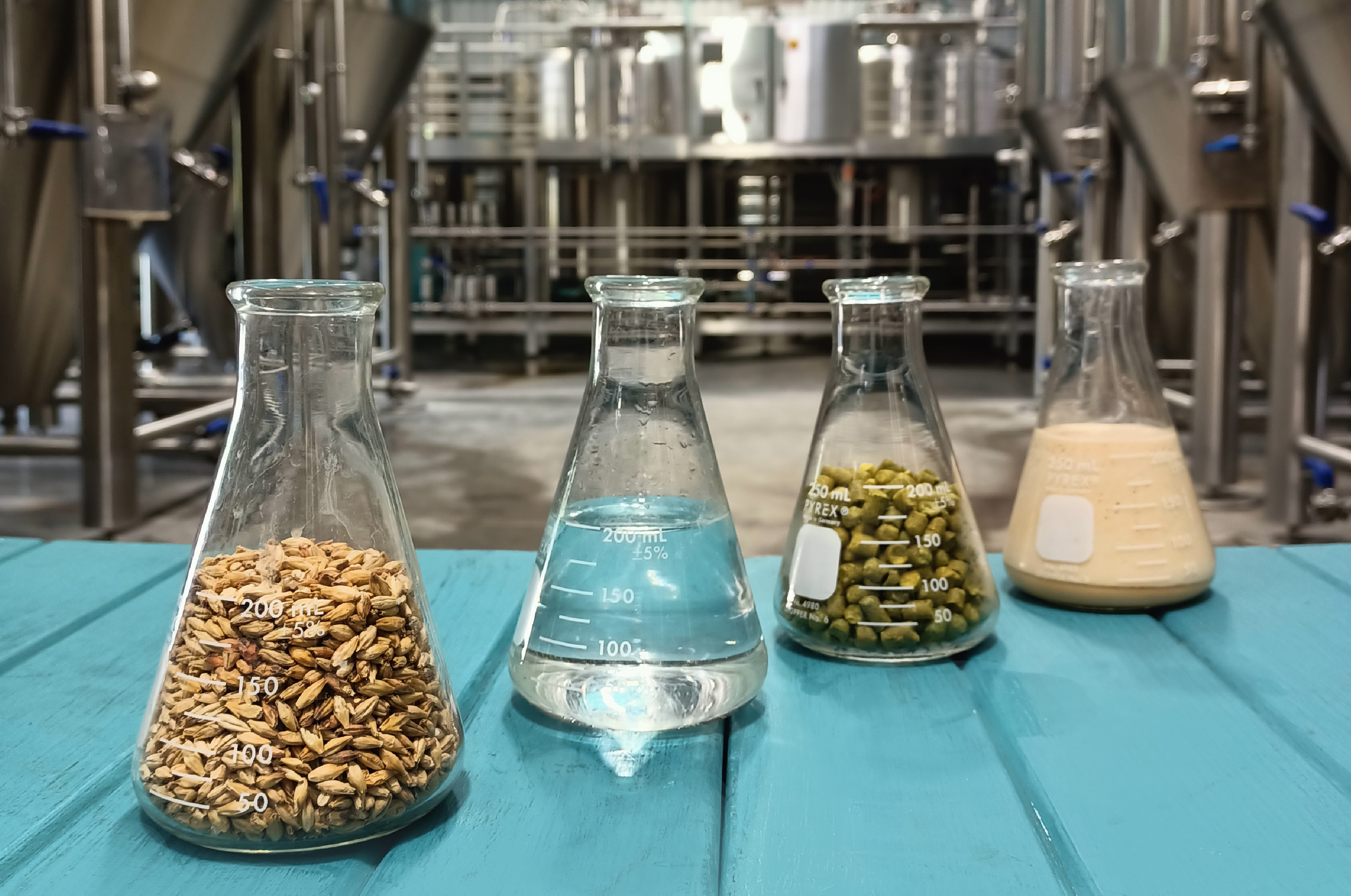 ¿Conoces la Ley de Pureza Alemana?