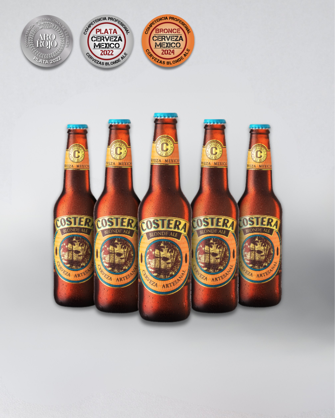 12 Pack Cerveza Costera
