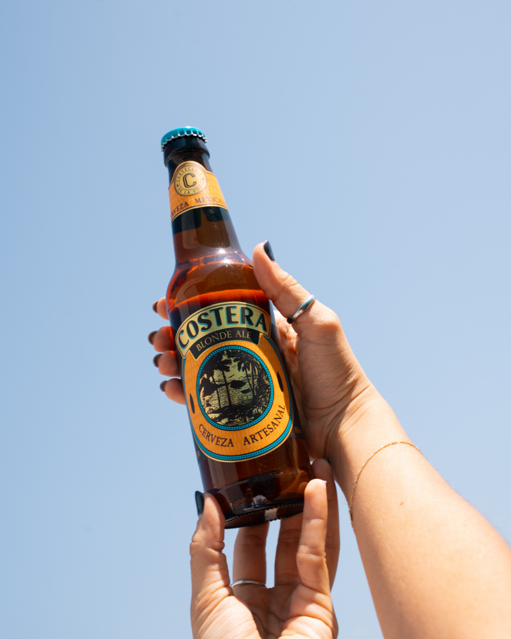 12 Pack Cerveza Costera