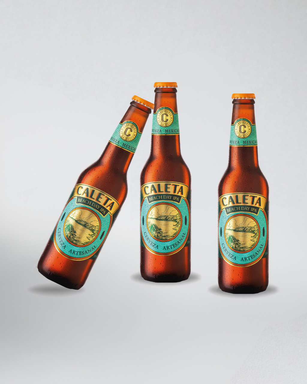 12 Pack Cerveza Caleta
