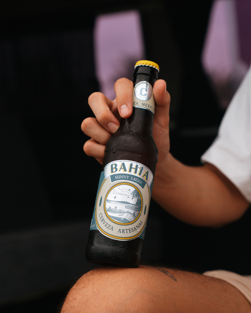 12 Pack Cerveza Bahía