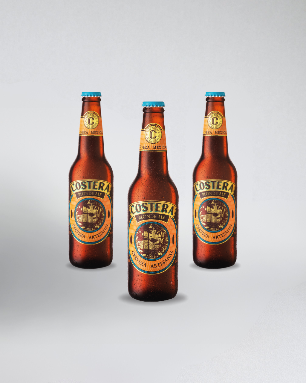 12 Pack Cerveza Costera