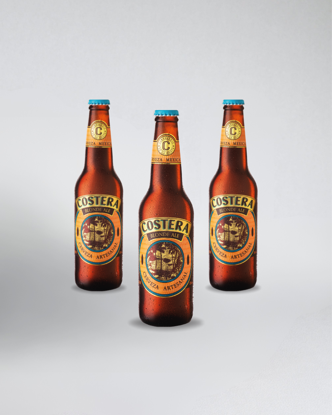 12 Pack Cerveza Costera